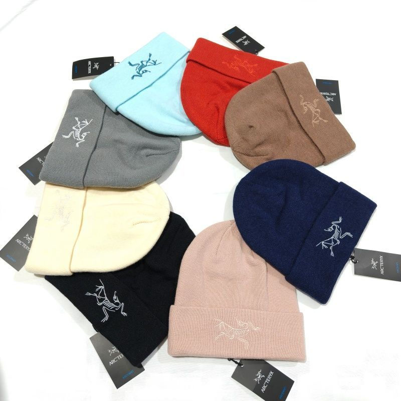 ブランドARC'TERYX ビーニー