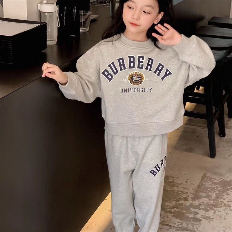 Burberry 裏起毛 パーカー
