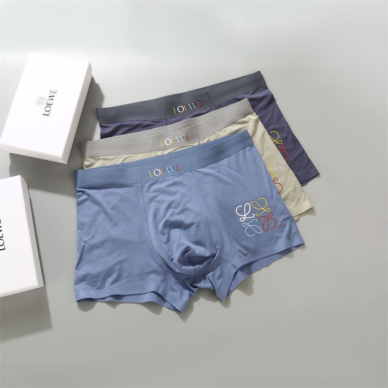 ロエベボクサーパンツ メンズ